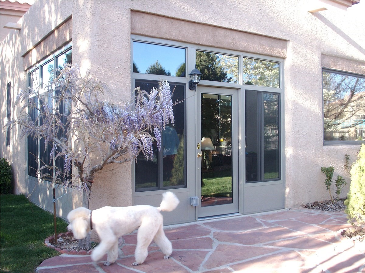 home exterior with lilac tree and dog