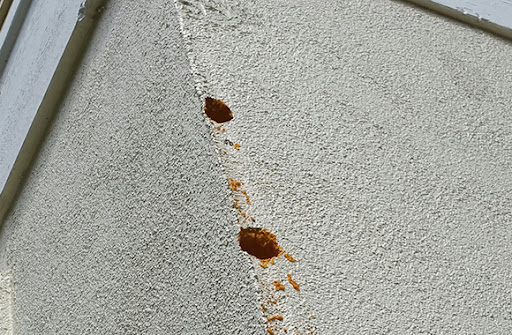 Woodpecker Hole Repairs